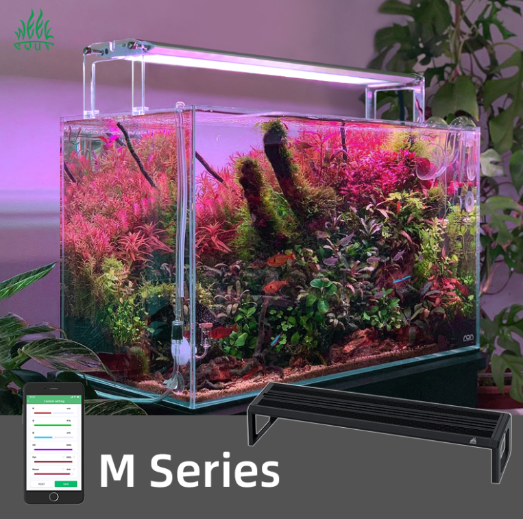 Aquarium Fish App - WEEK AQUA M Series 400mm Aquarium