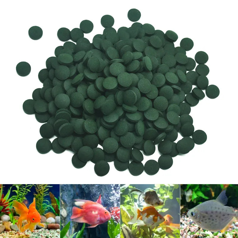 100-3000pc High Purity Spiruli – Aquarium Fish Holiday Food recenzja i cena