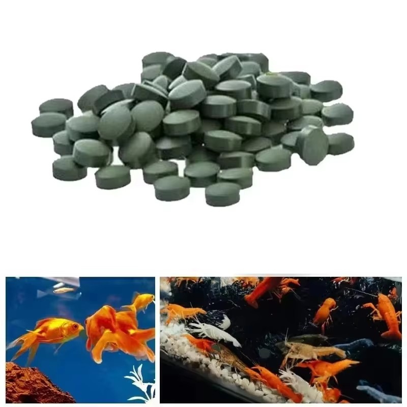 100-3000pcs High Purity Spirul – Aquarium Fish Holiday Food recenzja i cena