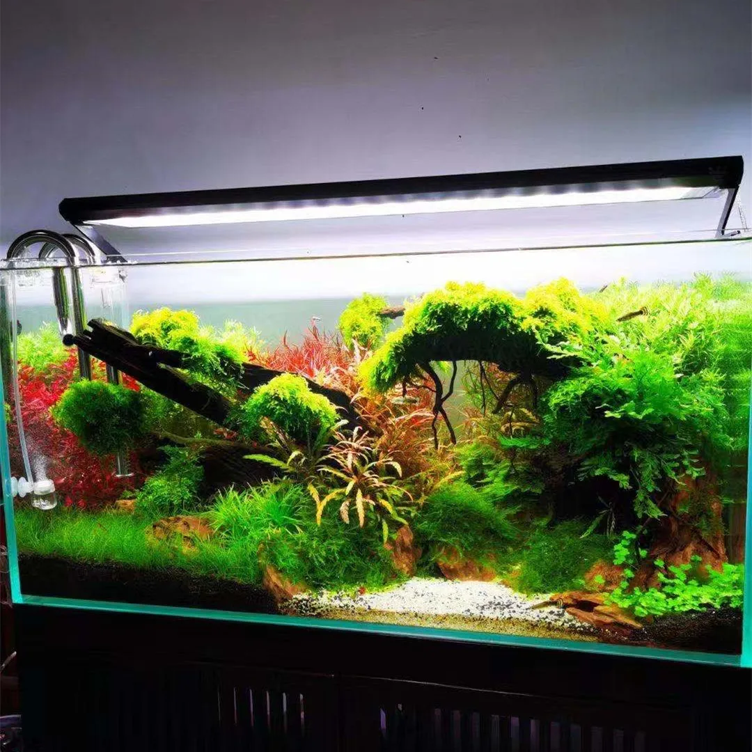 Week Aqua P Series Ver.3 P600  – Aquarium Fish App recenzja i cena
