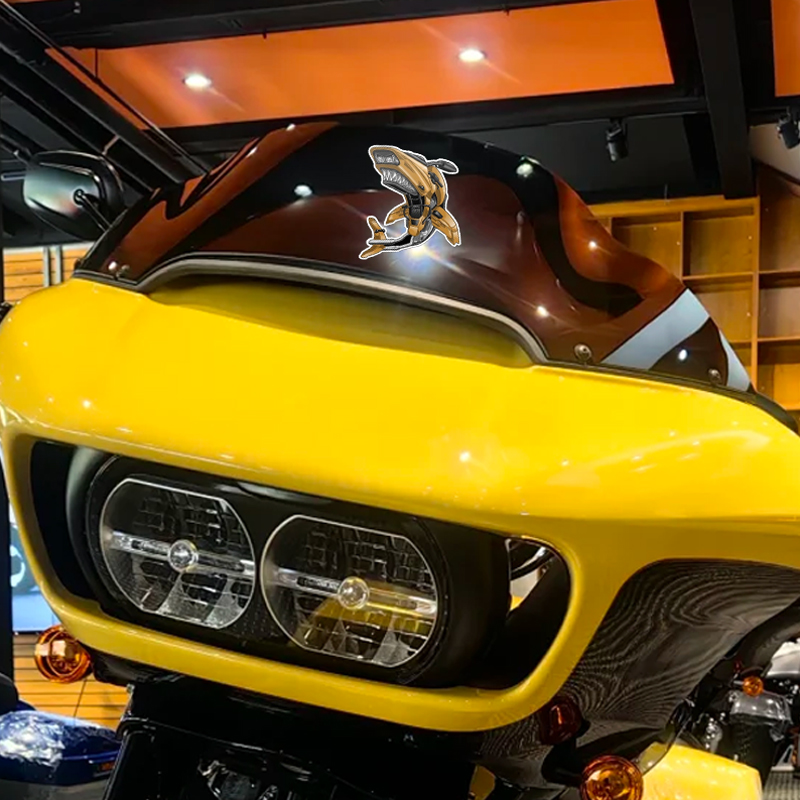 1PC Shark Nose Motorcycle Fair – Aquarium Fish Shark recenzja i cena