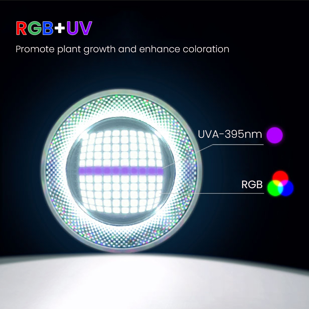 Full Spectrum Bluetooth 3.0 Ap – Aquarium Fish App recenzja i cena