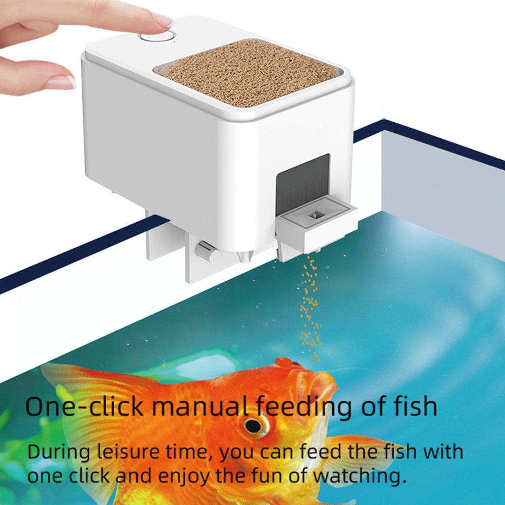 WiFi Smart Automatic Feeder Aq – Aquarium Fish App recenzja i cena