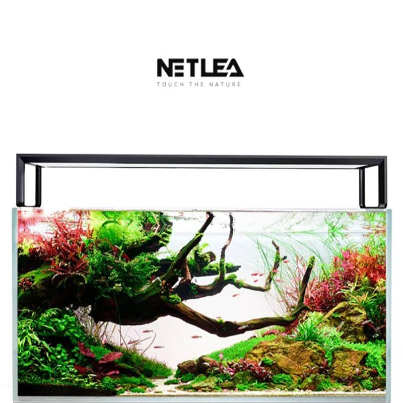 Netlea AT5S V3 Smart Wifi APP  – Aquarium Fish App recenzja i cena