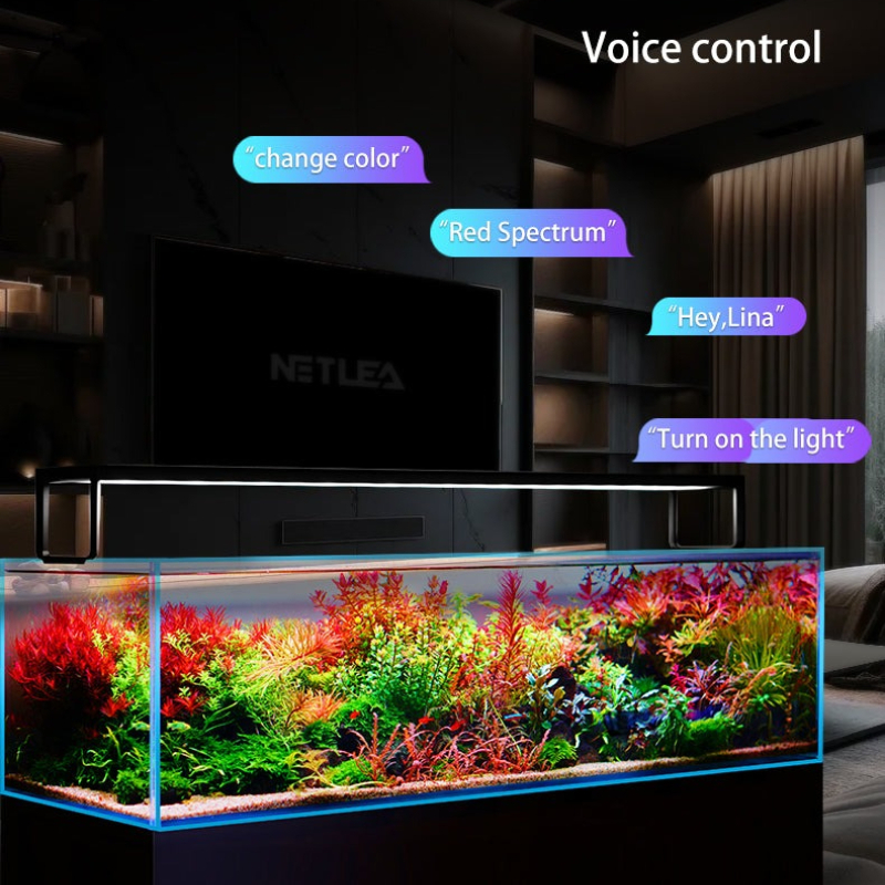 Netlea AT5S V3 Smart Wifi APP  – Aquarium Fish App recenzja i cena