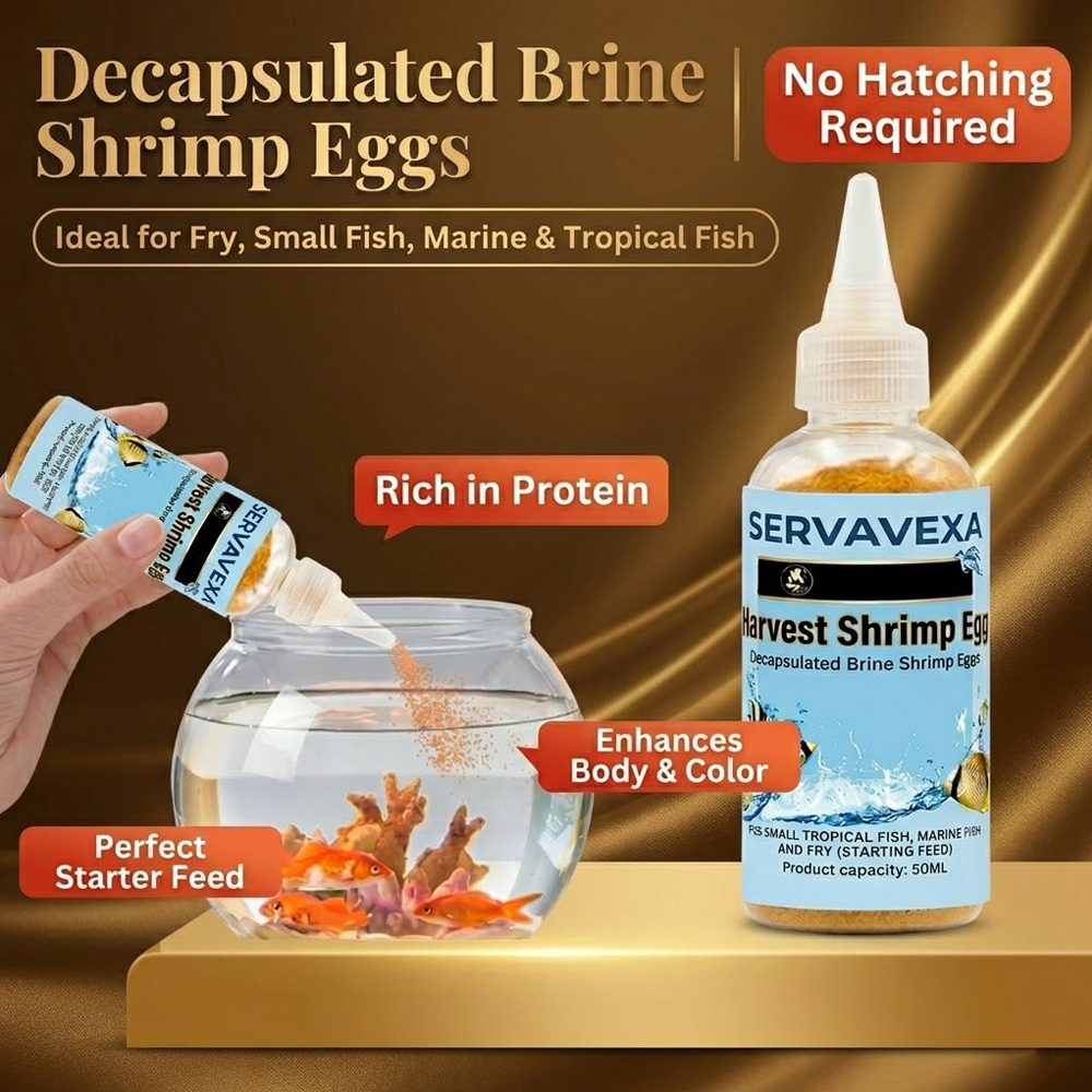 50ml Aquarium Fish Food Decaps – Aquarium Fish Holiday Food recenzja i cena