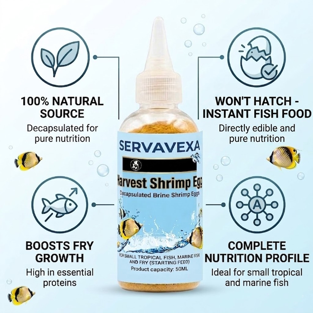 50ml Aquarium Fish Food Decaps – Aquarium Fish Holiday Food recenzja i cena