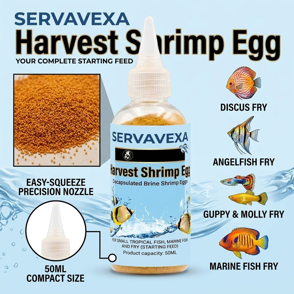 50ml Aquarium Fish Food Decaps – Aquarium Fish Holiday Food recenzja i cena