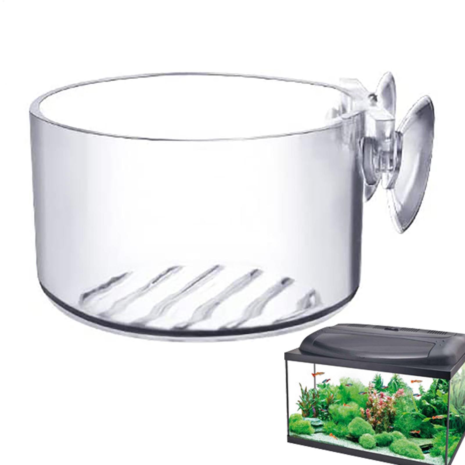 Aquarium Decoration Plant Cup  – Aquarium Fish Beautiful recenzja i cena