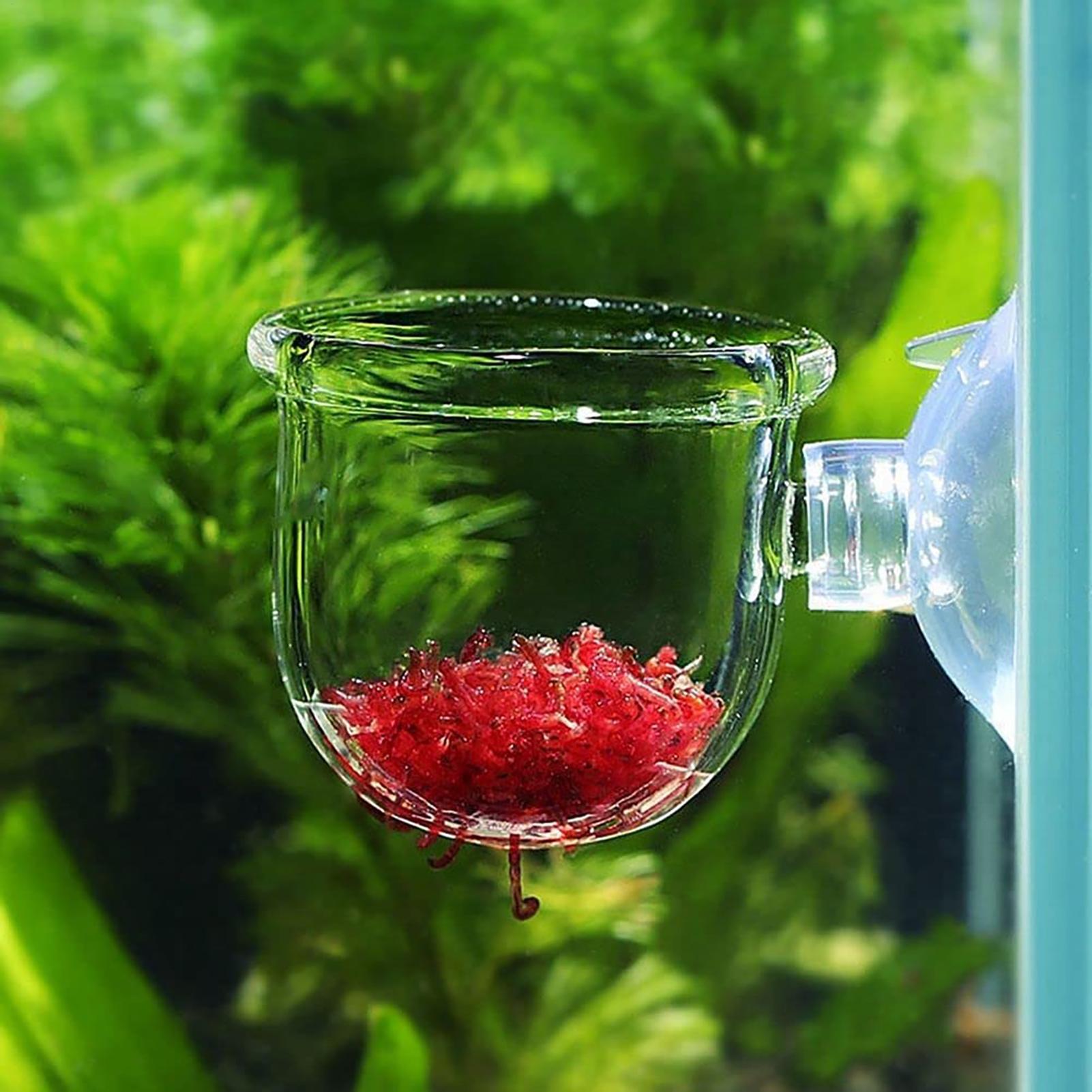 Aquarium Decoration Plant Cup  – Aquarium Fish Beautiful recenzja i cena