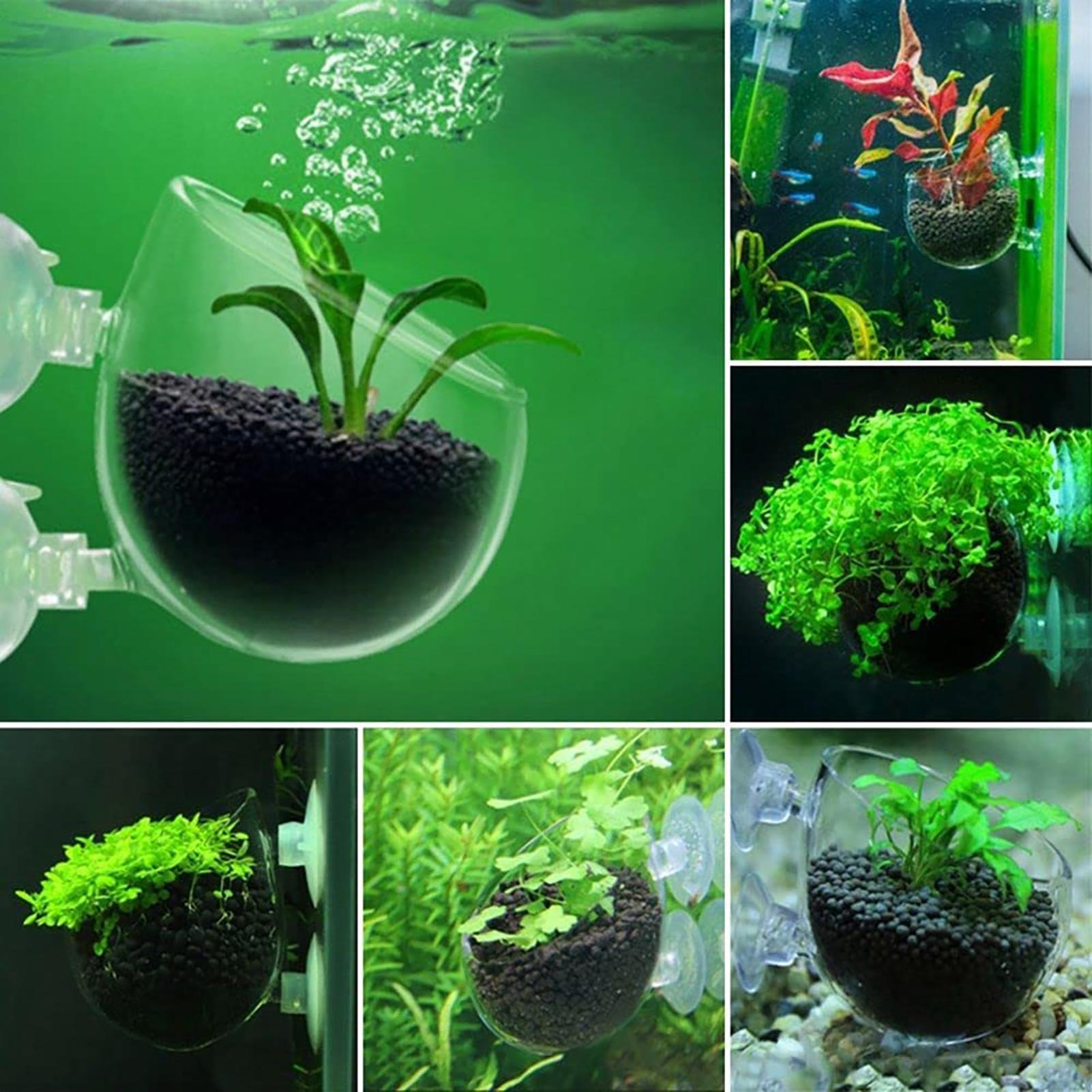 Aquarium Decoration Plant Cup  – Aquarium Fish Beautiful recenzja i cena