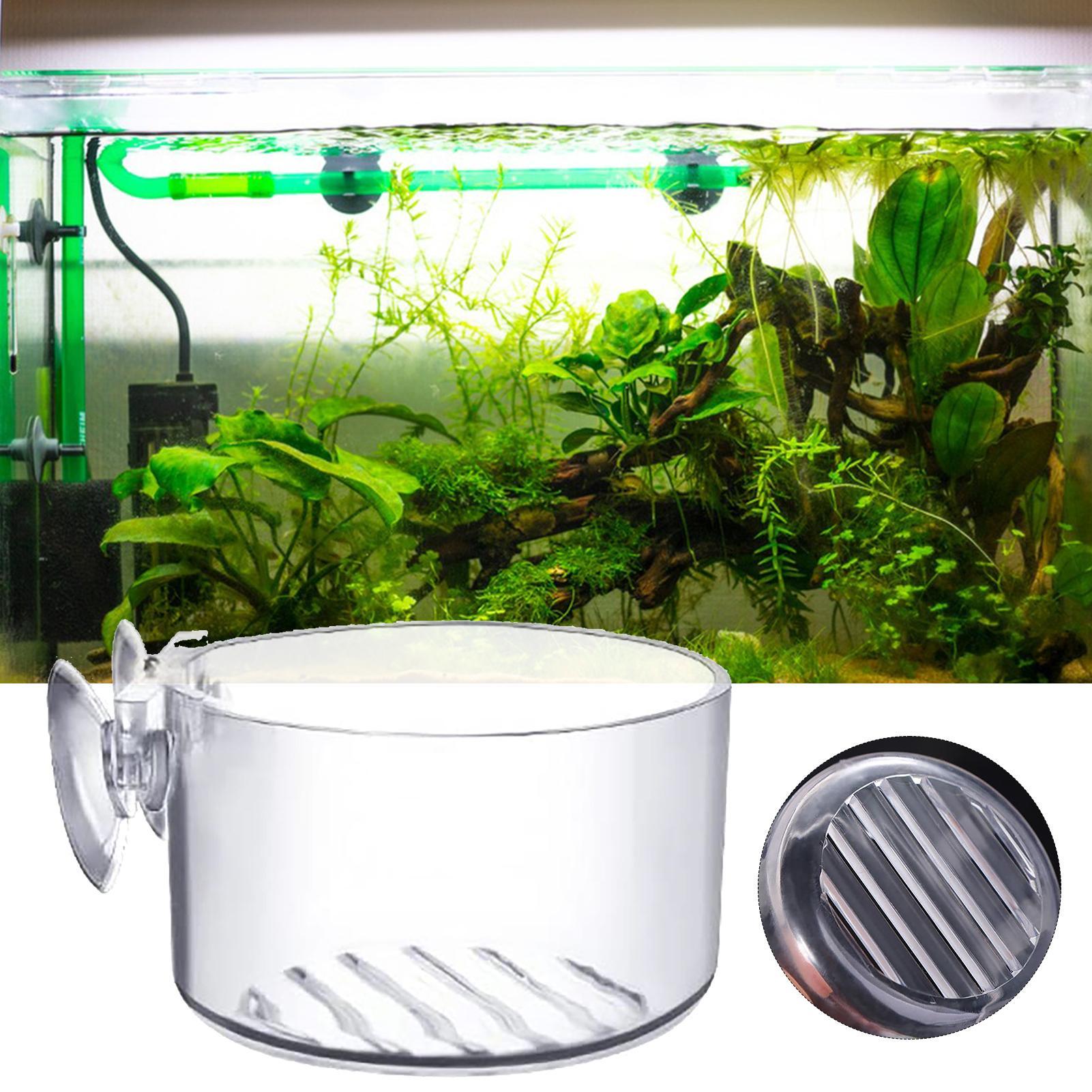 Aquarium Decoration Plant Cup  – Aquarium Fish Beautiful recenzja i cena