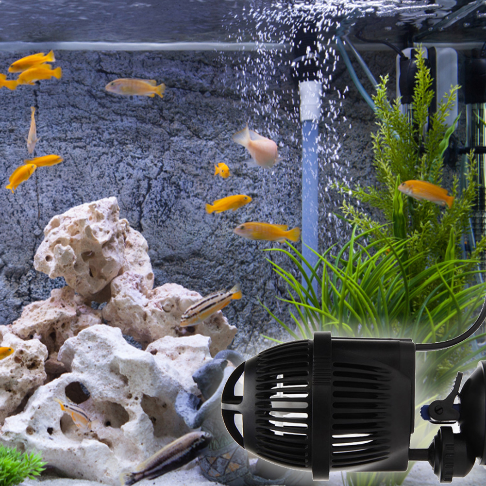 Circulation Water Pump with Su – Powerhead Circulation Pump recenzja i cena