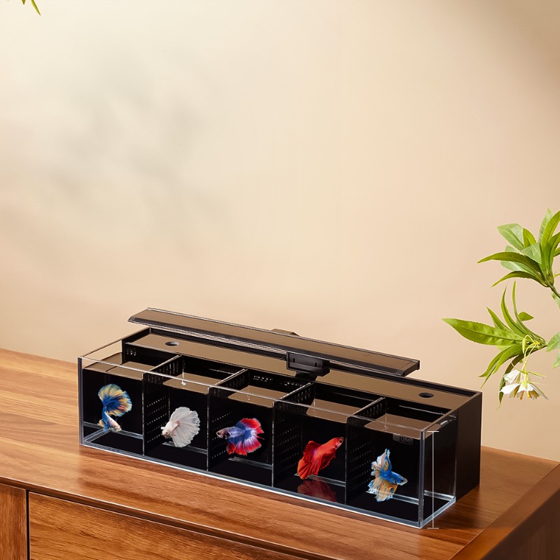 Douyu aquarium multi-grid comb – Aquarium Fish Beautiful recenzja i cena