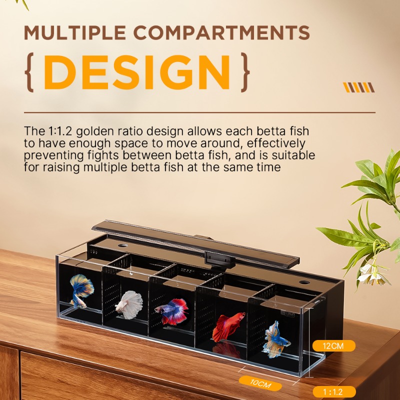 Douyu aquarium multi-grid comb – Aquarium Fish Beautiful recenzja i cena