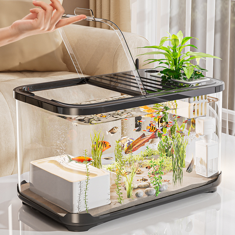 High Definition Transparent Fi – Aquarium Fish Beautiful recenzja i cena