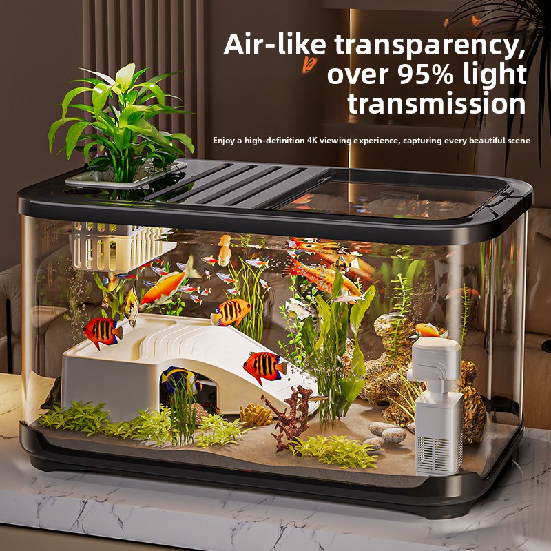 High Definition Transparent Fi – Aquarium Fish Beautiful recenzja i cena