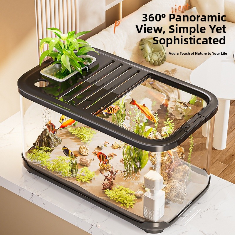 High Definition Transparent Fi – Aquarium Fish Beautiful recenzja i cena