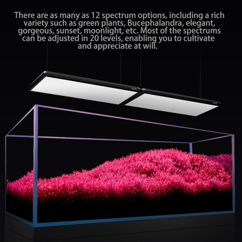 Netlea AT7S II - AT6 PRO Light – Aquarium Fish App recenzja i cena
