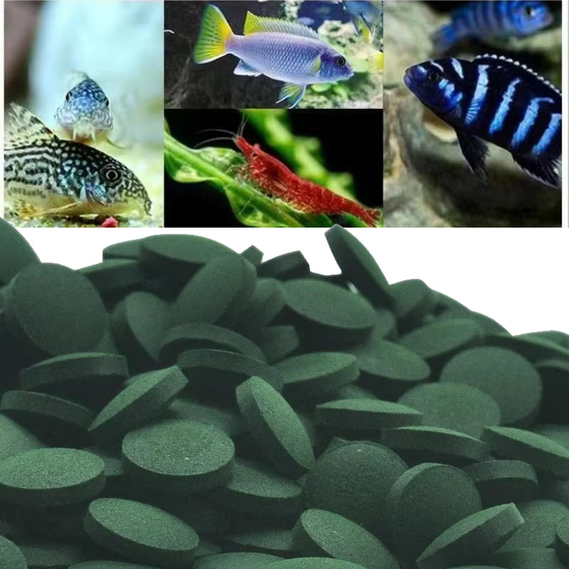 50/100/300/500pcs Spirulina Ta – Aquarium Fish Holiday Food recenzja i cena