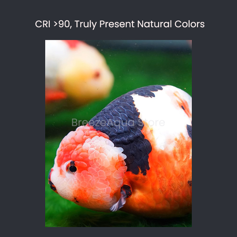 MAYIN Super Colour 100W Freshw – Aquarium Fish Colour recenzja i cena