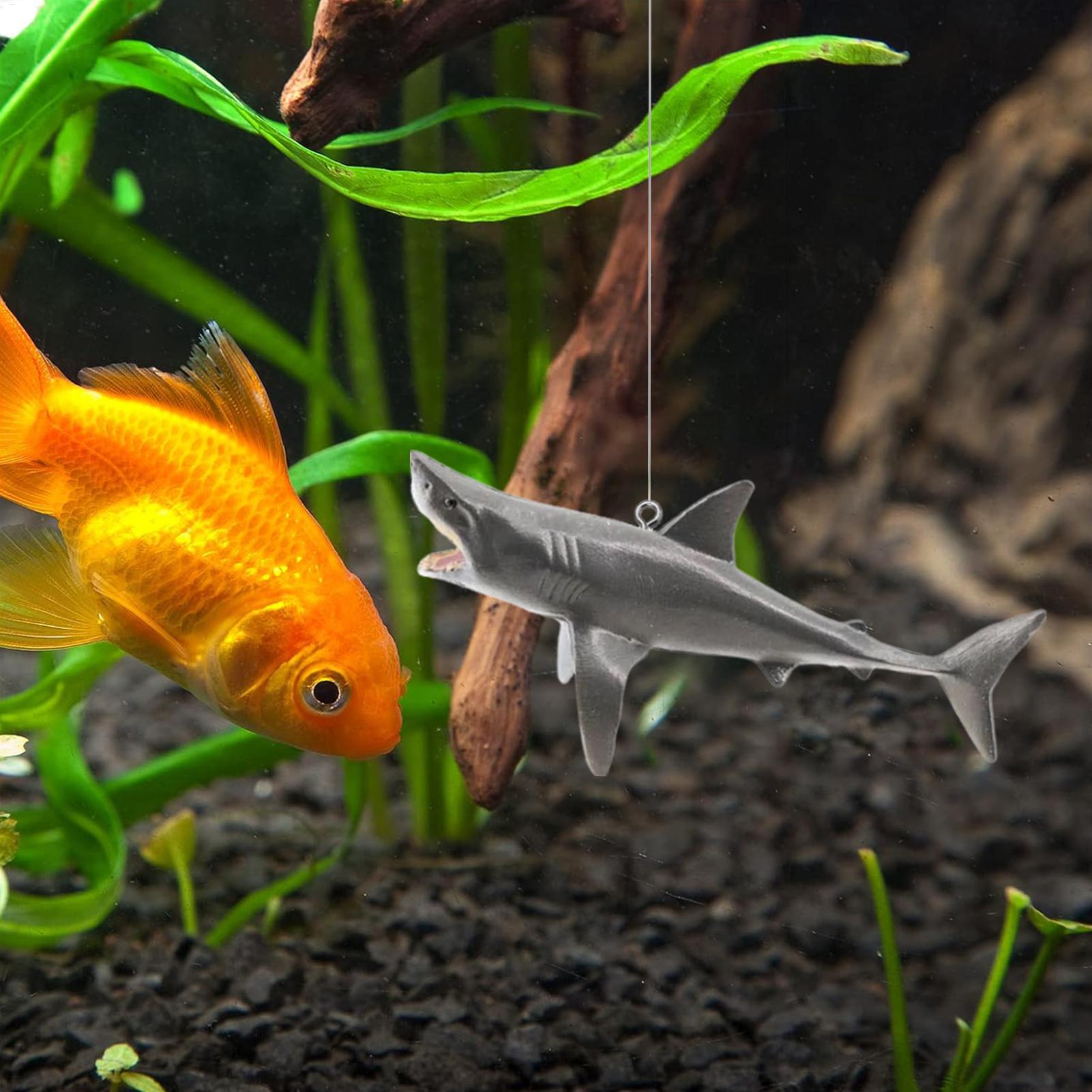 Floating Shark Aquarium Landsc – Aquarium Fish Shark recenzja i cena