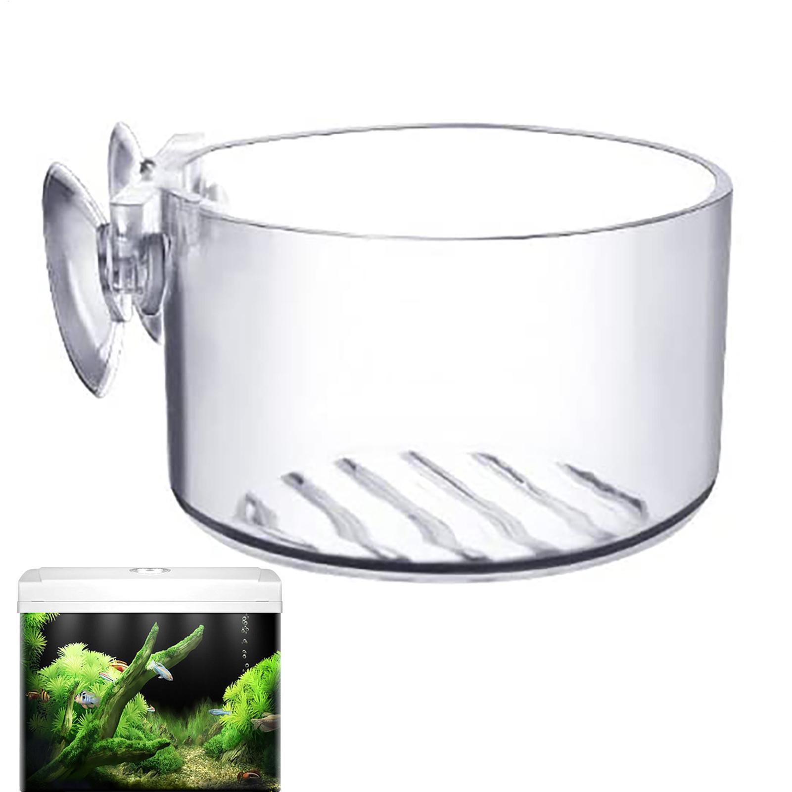 Suction Aquarium Plant Holder  – Aquarium Fish Beautiful recenzja i cena