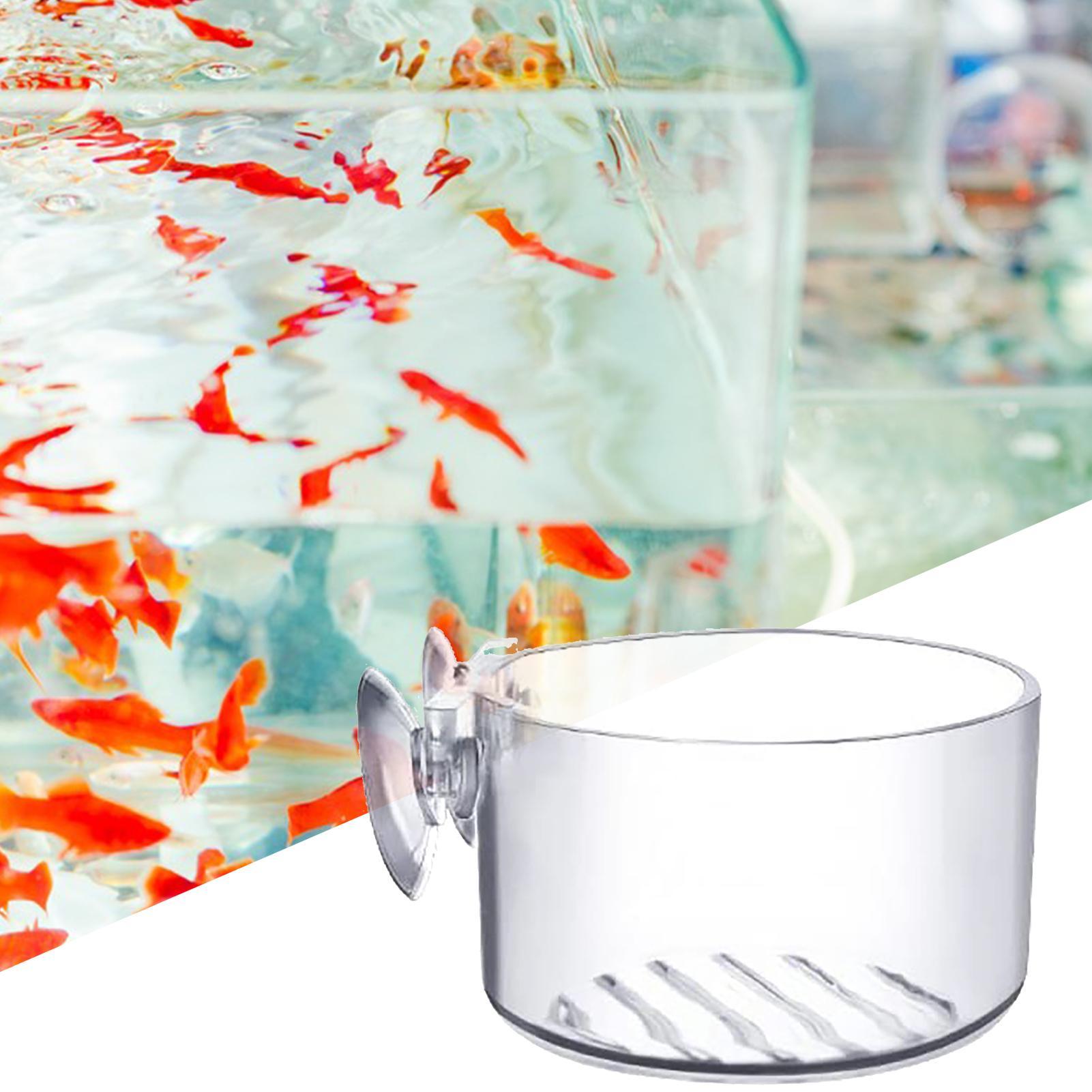 Suction Aquarium Plant Holder  – Aquarium Fish Beautiful recenzja i cena