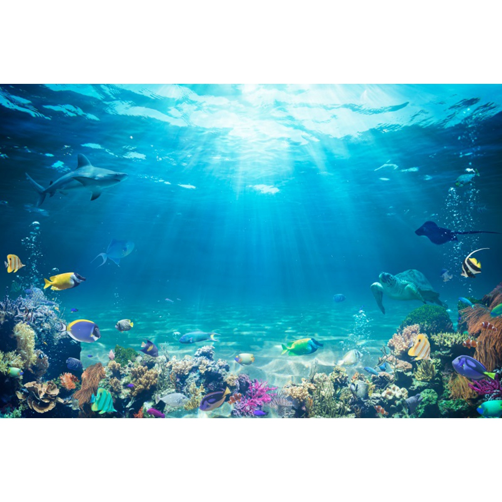 Underwater World Seabed Backdr – Aquarium Fish Shark recenzja i cena