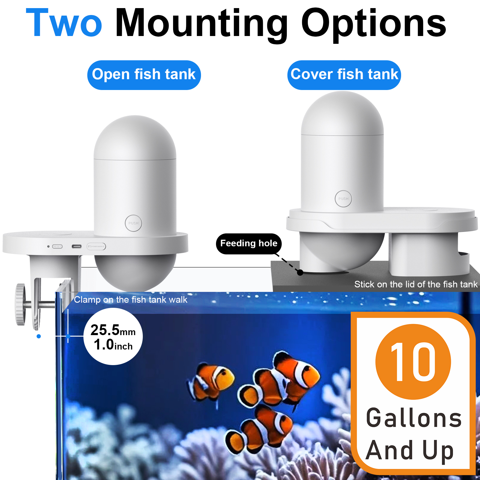 Automatic Fish Feeder With Cam – Aquarium Fish App recenzja i cena