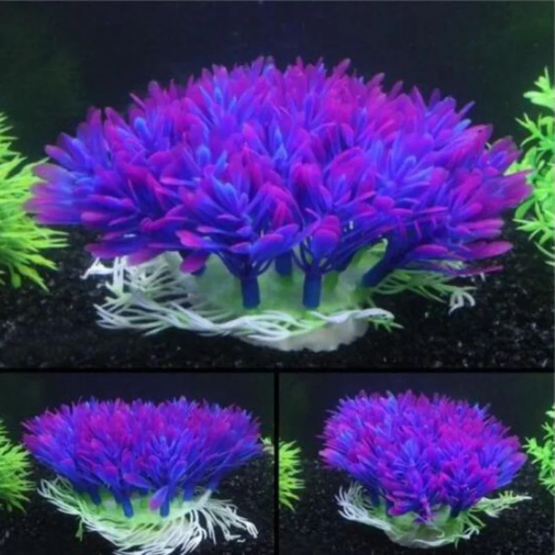 Artificial Wide Short Fish Tan – Aquarium Fish Beautiful recenzja i cena