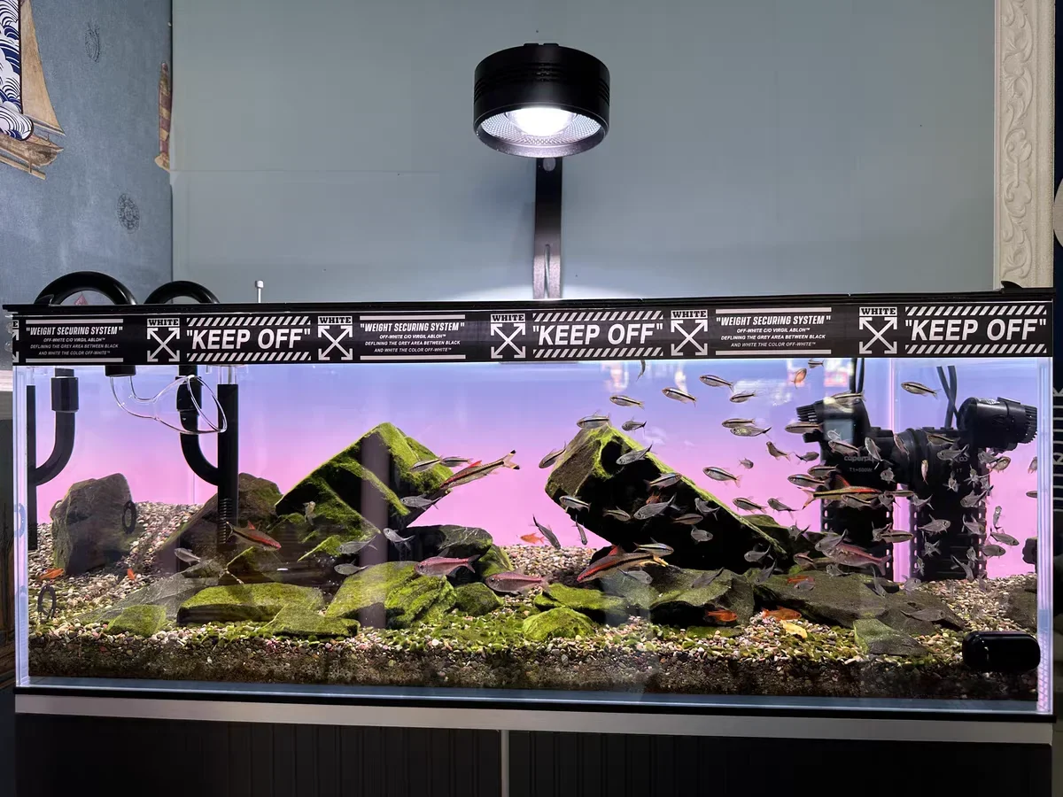 RGB Acrylic Fish Tank Backdrop – Aquarium Fish Colour recenzja i cena