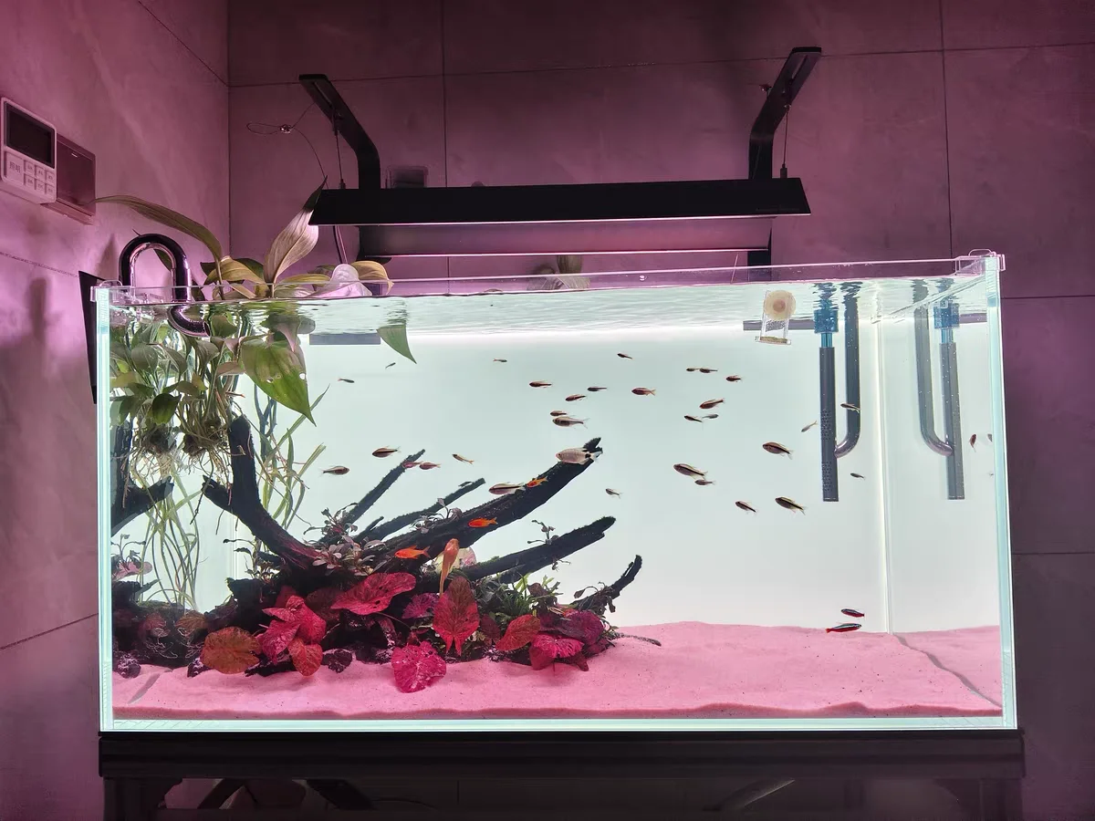 RGB Acrylic Fish Tank Backdrop – Aquarium Fish Colour recenzja i cena