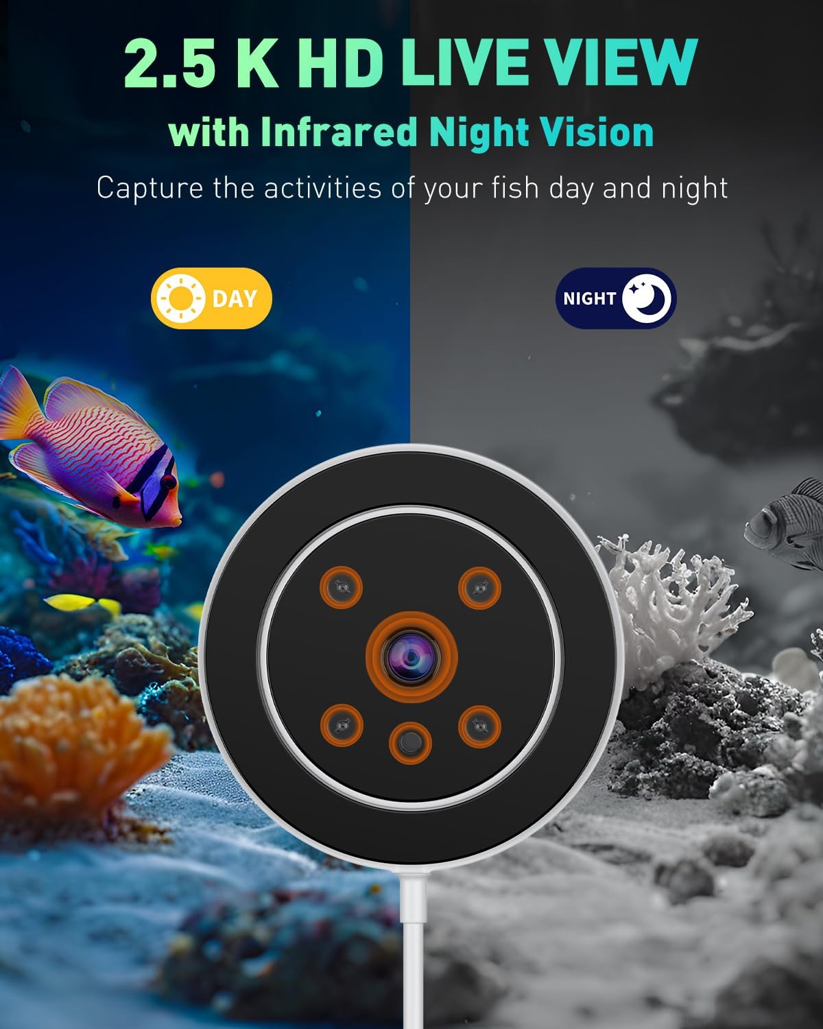 WiFi Automatic Fish Feeder for – Aquarium Fish Video recenzja i cena