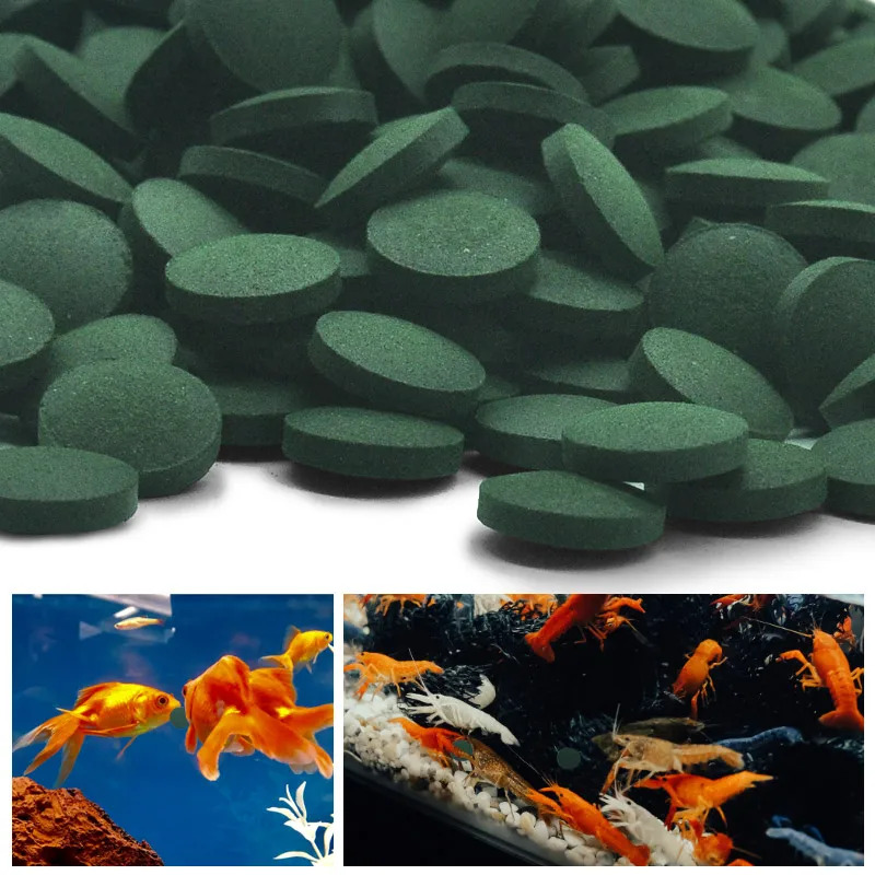 500/1000/1250PCS High Purity S – Aquarium Fish Holiday Food recenzja i cena