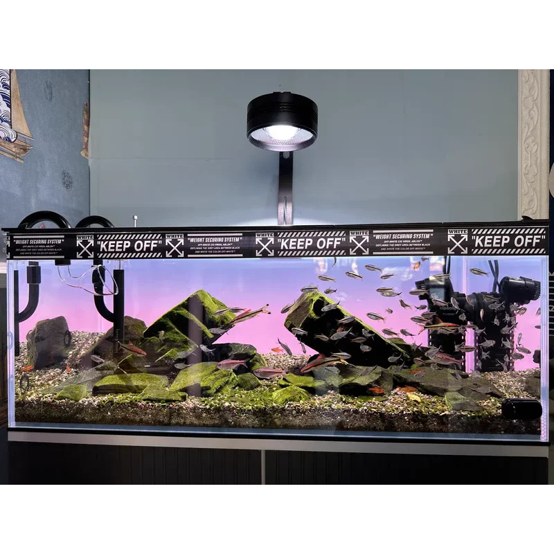 RGB Acrylic Fish Tank Backdrop – Aquarium Fish Colour recenzja i cena