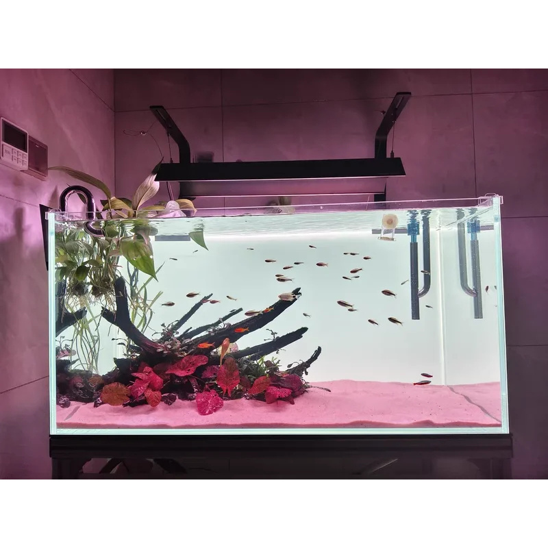 RGB Acrylic Fish Tank Backdrop – Aquarium Fish Colour recenzja i cena