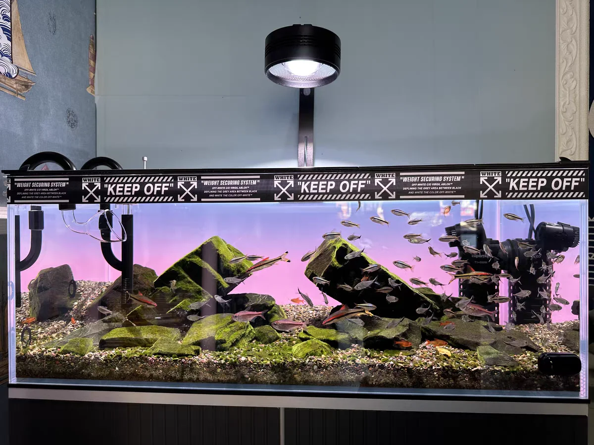 RGB Acrylic Fish Tank Backdrop – Aquarium Fish Colour recenzja i cena