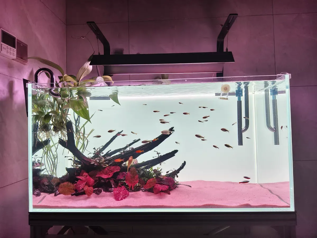 RGB Acrylic Fish Tank Backdrop – Aquarium Fish Colour recenzja i cena