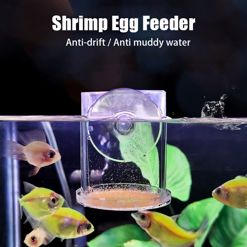 Transparent Arcylic Aquarium F – Aquarium Fish Holiday Food recenzja i cena