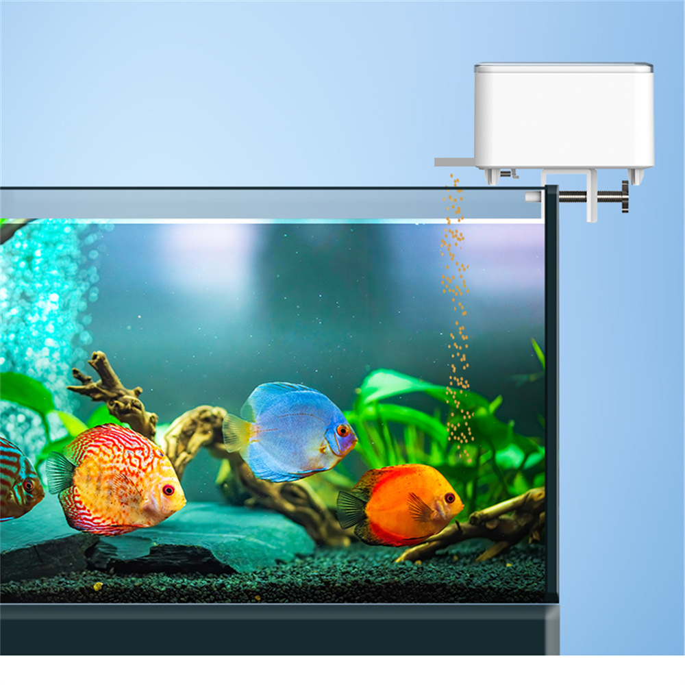 WiFi Smart Automatic Feeder Aq – Aquarium Fish App recenzja i cena