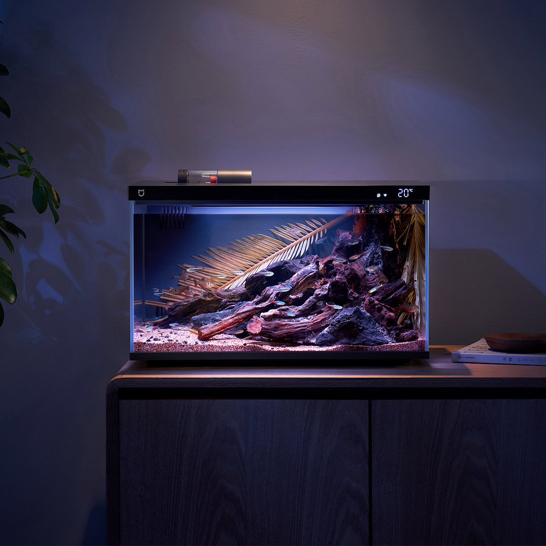 Xiaomi Mijia Smart Fish Tank M – Aquarium Fish App recenzja i cena