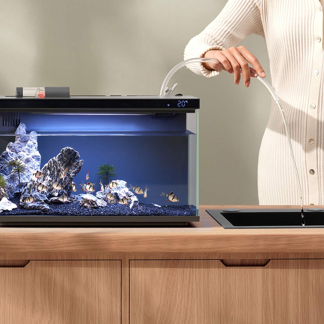 Xiaomi Mijia Smart Fish Tank M – Aquarium Fish App recenzja i cena