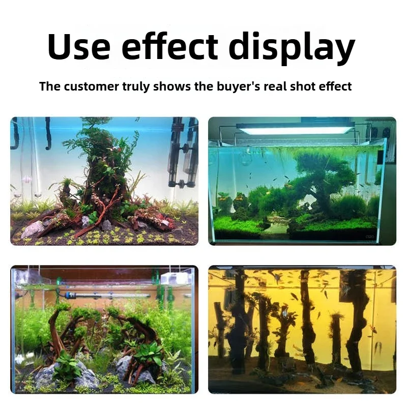 Custom Fish Tank Backlight LED – Aquarium Fish Colour recenzja i cena