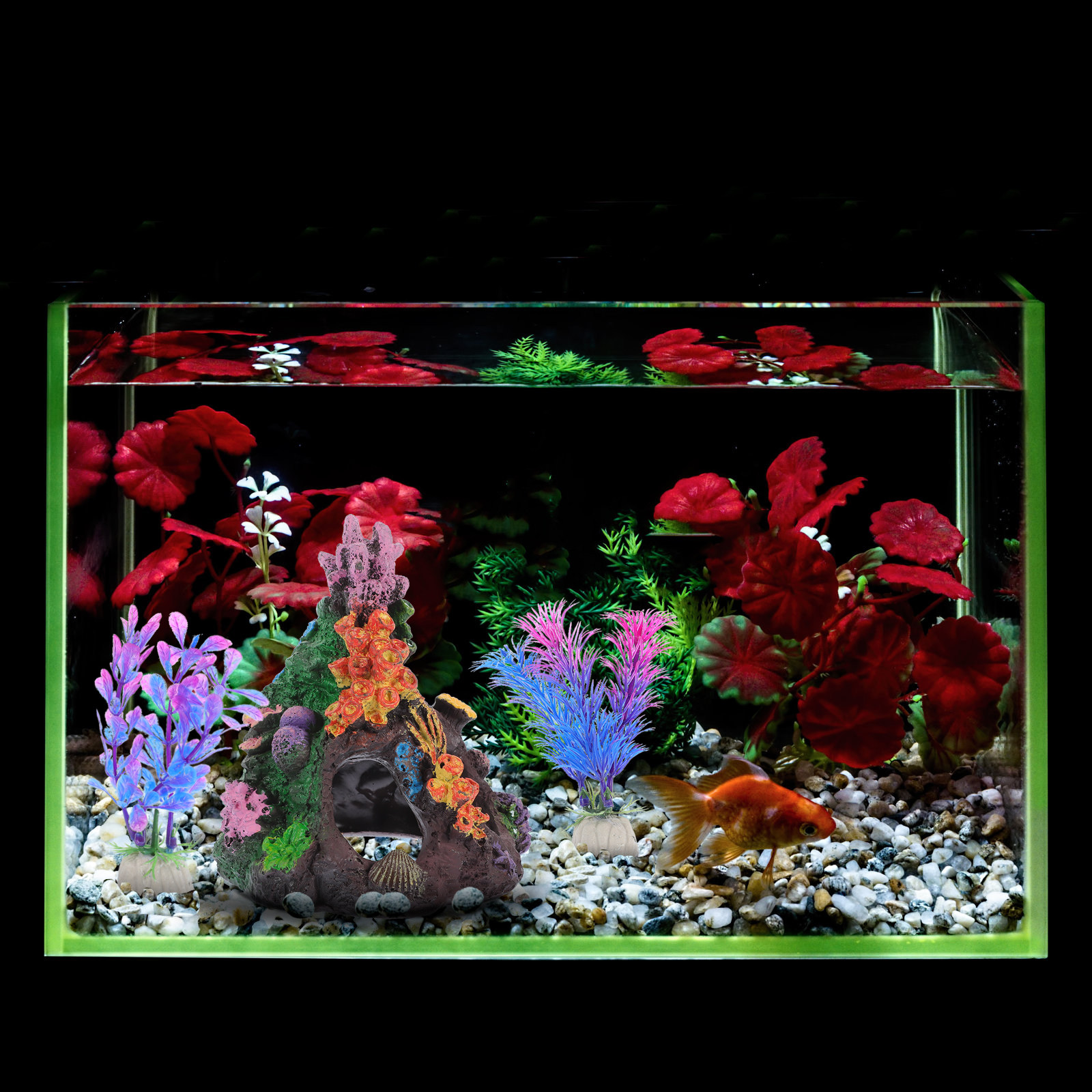 5Pcs DIY Aquarium Coral and Fa – Aquarium Fish Beautiful recenzja i cena