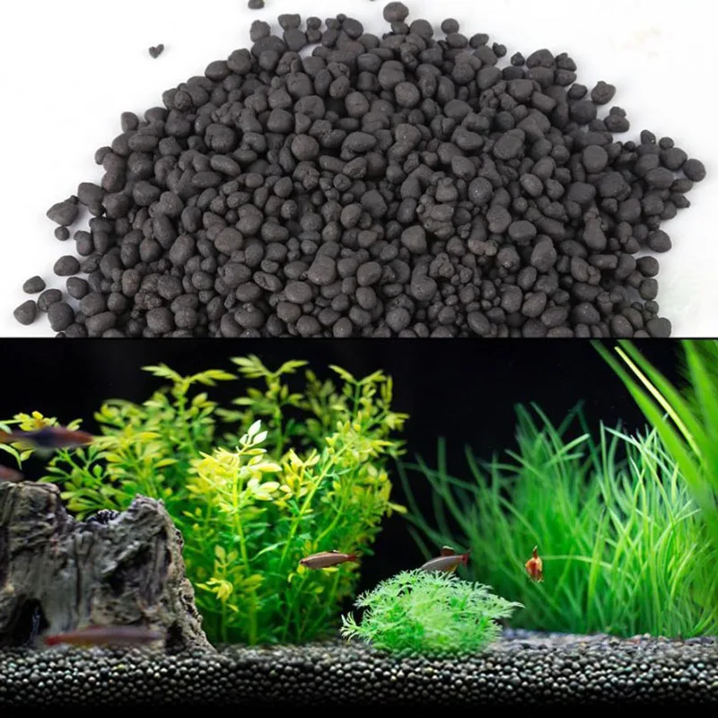 1kg Watergrass Aquarium Plants – Aquarium Fish Beautiful recenzja i cena