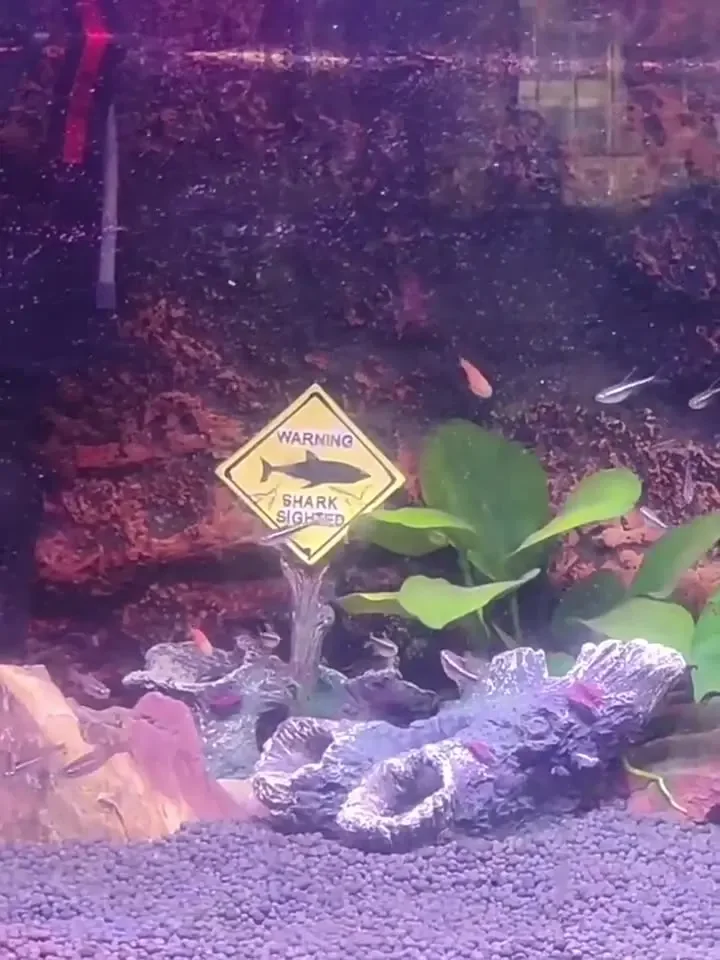 Resin Aquarium Decorative Orna – Aquarium Fish Shark recenzja i cena